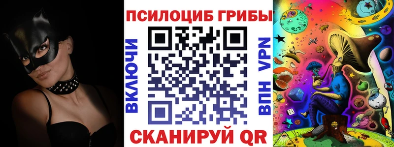 где купить наркоту  это формула  Псилоцибиновые грибы Magic Shrooms  Волгоград 